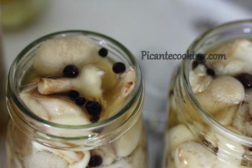 Грибы польские, как готовить. Как жарить польские грибы 18