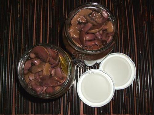 Грибы козлята, как готовить. Как замариновать грибы? Маринованные козляки. Как распознать козляк?