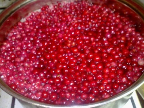Желе из красной смородины без варки. Желе из красной смородины на зиму без желатина - самый простой рецепт без стерилизации