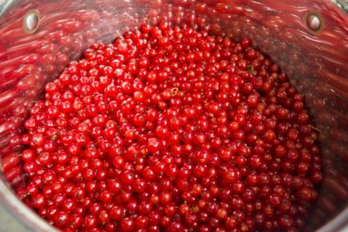 Варенье из красной смородины пятиминутка рецепт. Варенье из красной смородины: 9 простых рецептов на зиму