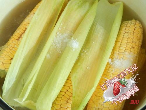 Консервированная кукуруза в початках на зиму. Приготовление консервированной кукурузы в початках на зиму