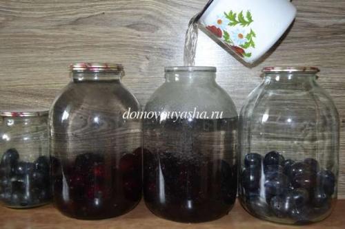Компот из слив на зиму с косточками без стерилизации. Компот из слив на зиму на 3 литровую банку без стерилизации
