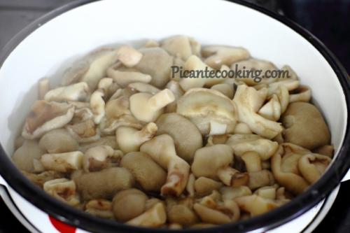 Грибы польские, как готовить. Как жарить польские грибы 14