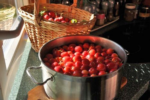 Заготовки из райских яблок на зиму. Рецепты компота из диких яблок с добавками