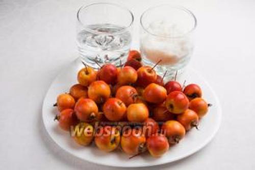 Райские яблочки ранетки. Разновидности и характеристика сортов 34