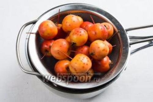 Райские яблочки ранетки. Разновидности и характеристика сортов 38