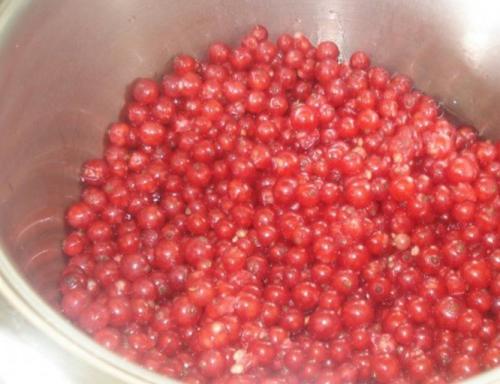 Желе из красной смородины без варки. Желе из красной смородины на зиму без желатина - самый простой рецепт без стерилизации
