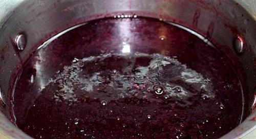 Консервация виноградного сока на зиму рецепты. Рецепты виноградного сока по сортам