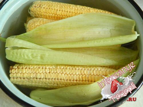 Консервированная кукуруза в початках на зиму. Приготовление консервированной кукурузы в початках на зиму
