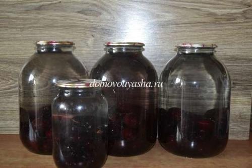 Компот из слив на зиму с косточками без стерилизации. Компот из слив на зиму на 3 литровую банку без стерилизации