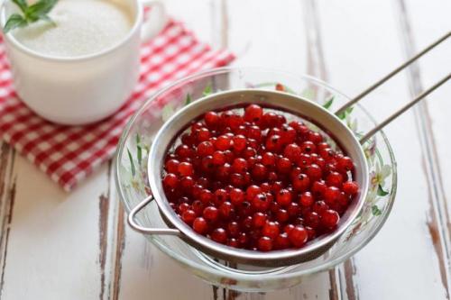 Варенье из красной смородины пятиминутка рецепт. Варенье из красной смородины: 9 простых рецептов на зиму