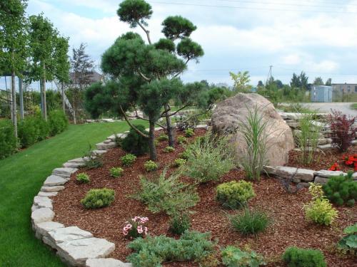 Мульчирование корой лиственницы плюсы и минусы. 