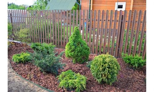 Мульчирование корой лиственницы плюсы и минусы. 