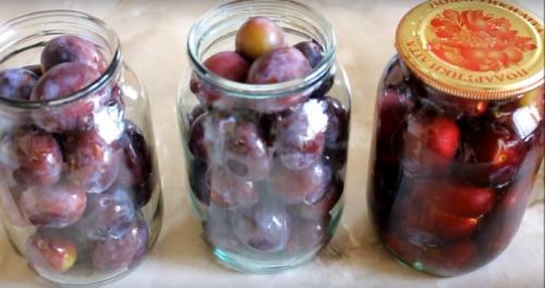 Компот из слив на зиму в литровых банках. Как сварить компот из слив на зиму в домашних условиях