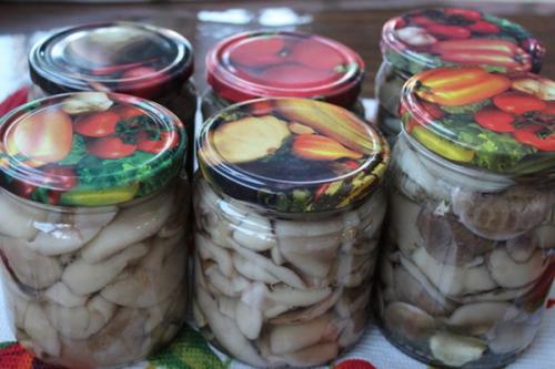 Консервация маслят. Маслята без стерилизации — самый вкусный рецепт