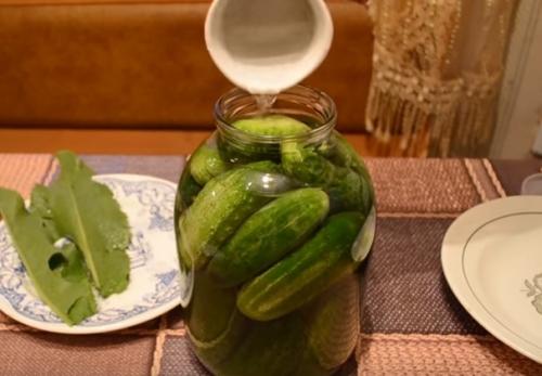 Соленые огурцы на зиму. Хрустящие соленые огурцы в банках: 5 супер вкусных рецептов на зиму