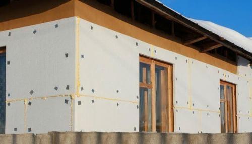 Утеплить саженцы пенопластом. Если вы хотите проводить выходные на даче в любое время года или вообще собираетесь перебраться за город, то наверняка задумывались об утеплении дома.