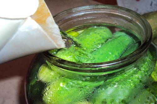 Соленые огурцы рецепт на зиму хрустящие. Как посолить огурцы на зиму — самые простые пошаговые рецепты. Засолка огурцов на 1 литр и 3 литровую банку