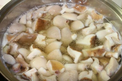 Консервация маслят. Маслята без стерилизации — самый вкусный рецепт