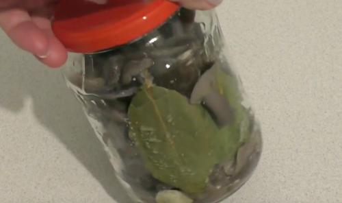 Рядовка лиловоногая, как готовить. Рядовка лиловоногая рецепты приготовления