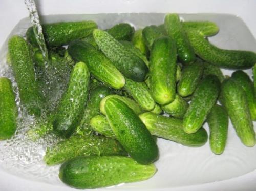 Как сохранить свежие огурцы в банке на зиму. Хрустит не только снег // Как сохранить свежие огурцы на зиму: 5 проверенных способов