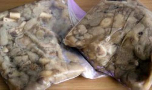 Как заморозить грибы маслята. Морозят ли маслята на зиму и как это делать