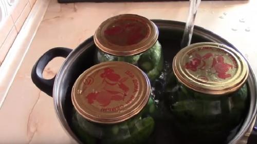 Маринад для огурцов на зиму. Хрустящие маринованные огурцы – 7 рецептов на зиму