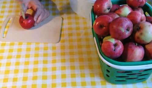 Яблоки консервированные половинками. Яблоки в сиропе на зиму — рецепты целиком и дольками