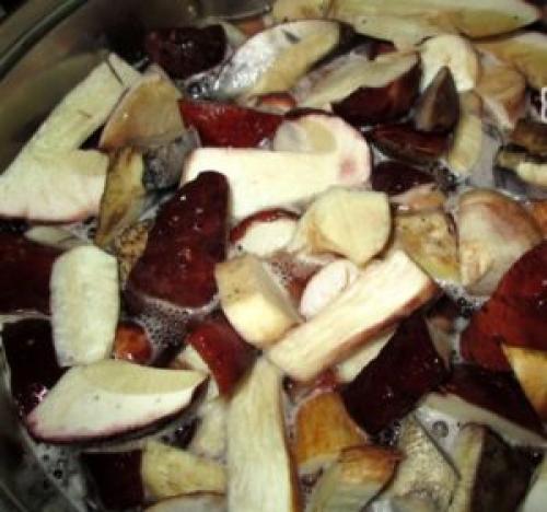 Маринование белых грибов в домашних условиях. Как мариновать белые грибы на зиму в домашних условиях