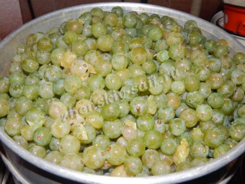 Приготовление виноградного сока в соковарке на зиму. Виноградный сок в соковарке на зиму