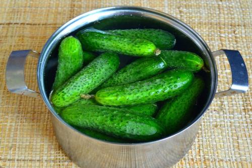 Вкусные огурцы на зиму в литровых банках. Огурцы на зиму в банках – 8 самых вкусных рецептов