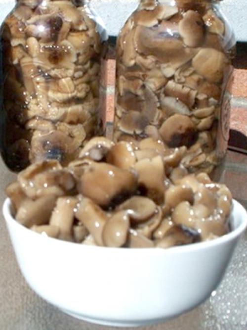 Рядовка лиловоногая, как готовить. Рядовка лиловоногая рецепты приготовления