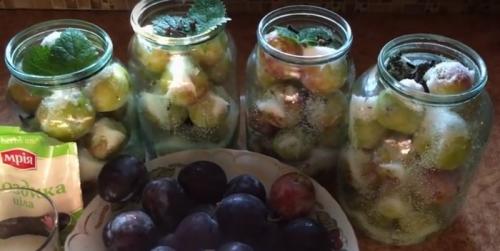 Компот из слив на зиму в литровых банках. Как сварить компот из слив на зиму в домашних условиях