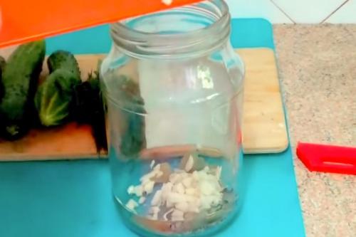 Малосольные переросшие огурцы рецепт. Малосольные огурцы с чесноком и зеленью быстрого приготовления — 6 классических рецептов