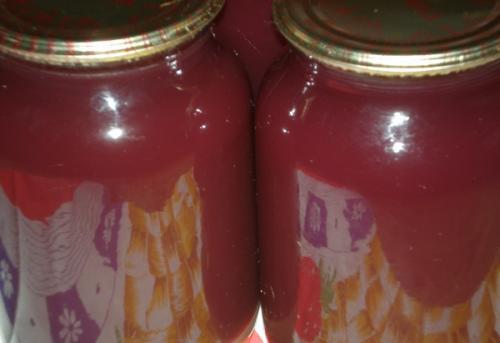 Как приготовить виноградный сок для длительного хранения. Использование соковарки