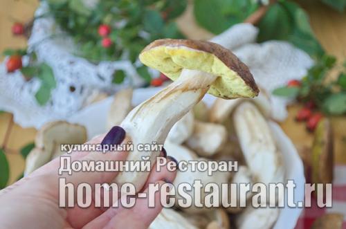 Как мариновать польские грибы. Как мариновать белые грибы на зиму в банках: простой рецепт без стерилизации