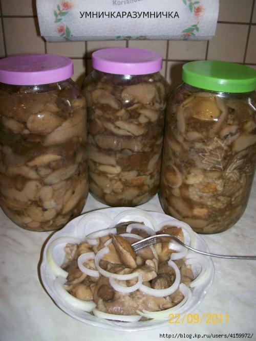 Консервирование рецепты грибы. Рецепт маринованных грибов на зиму, простой рецепт, консервация в банках 03