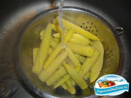 Как законсервировать кукурузу в початках. Консервированная кукуруза в початках на зиму 14