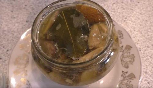 Самые вкусные маринованные белые грибы. Маринованные белые грибы на зиму, рецепты в банках без стерилизации