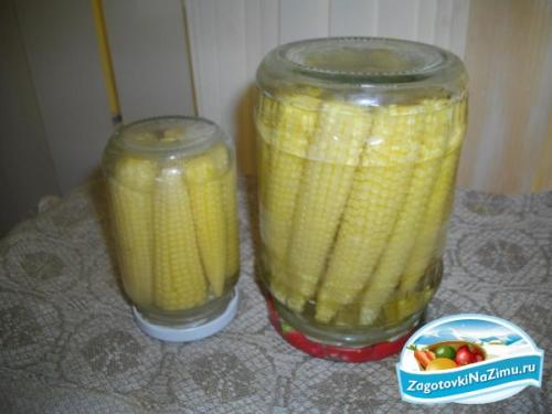 Как законсервировать кукурузу в початках. Консервированная кукуруза в початках на зиму 18