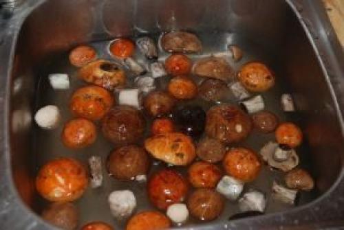 Маринование белых грибов в домашних условиях. Как мариновать белые грибы на зиму в домашних условиях