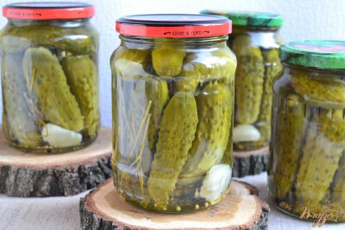 Вкусные огурцы на зиму в литровых банках. Огурцы на зиму в банках – 8 самых вкусных рецептов
