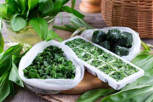 Сохранение петрушки на зиму. Как сохранить и заготовить петрушку на зиму в домашних условиях