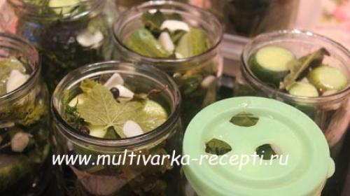 Консервация малосольных огурцов на зиму. Огурцы, малосольные в банке на зиму