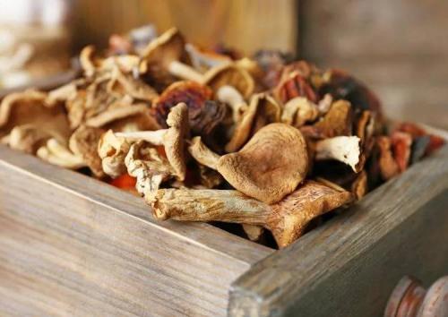 Как правильно отварить грибы на зиму. Как правильно варить лесные грибы