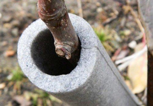 Чем обернуть деревья на зиму. Необходимые материалы