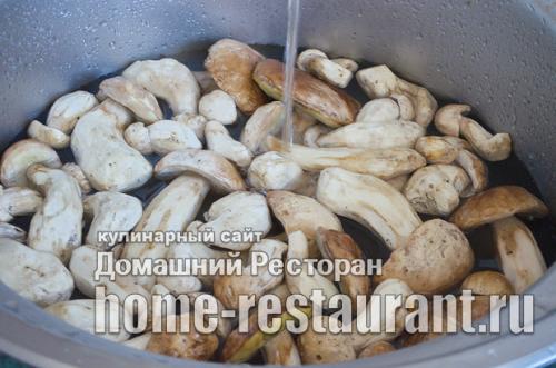 Как мариновать польские грибы. Как мариновать белые грибы на зиму в банках: простой рецепт без стерилизации