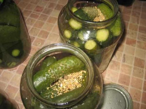 Как огурцы сохранить свежими в банке на зиму.  Выбираем место для хранения и способ 10