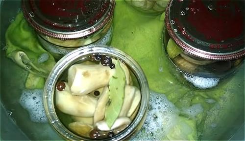 Маринад для белых грибов на 1 литр воды. Хрустящие белые грибы: рецепт маринования на 1 литр воды