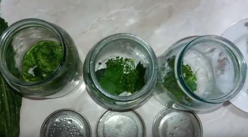 Соленые огурцы на зиму. Хрустящие соленые огурцы в банках: 5 супер вкусных рецептов на зиму